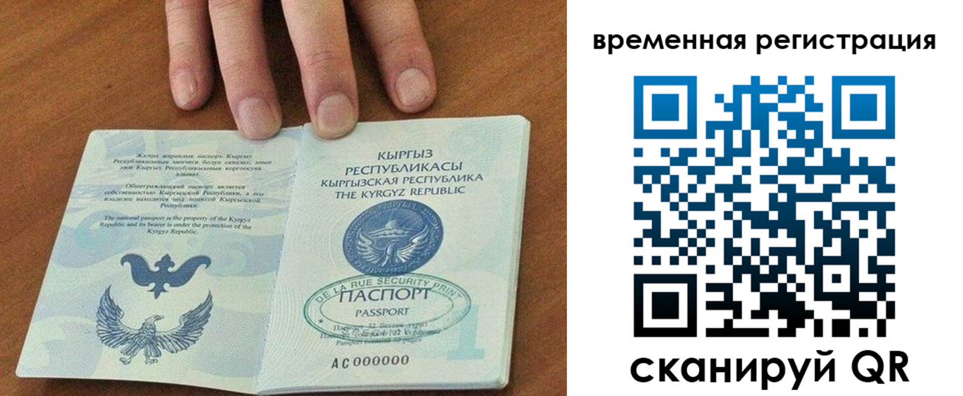 где прописаться в Павловске